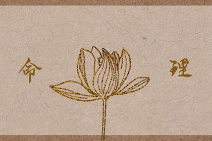 择吉老黄历,老黄历查询,万年历老黄历2025